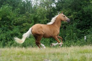 Watch – Videos to Inform and Inspire