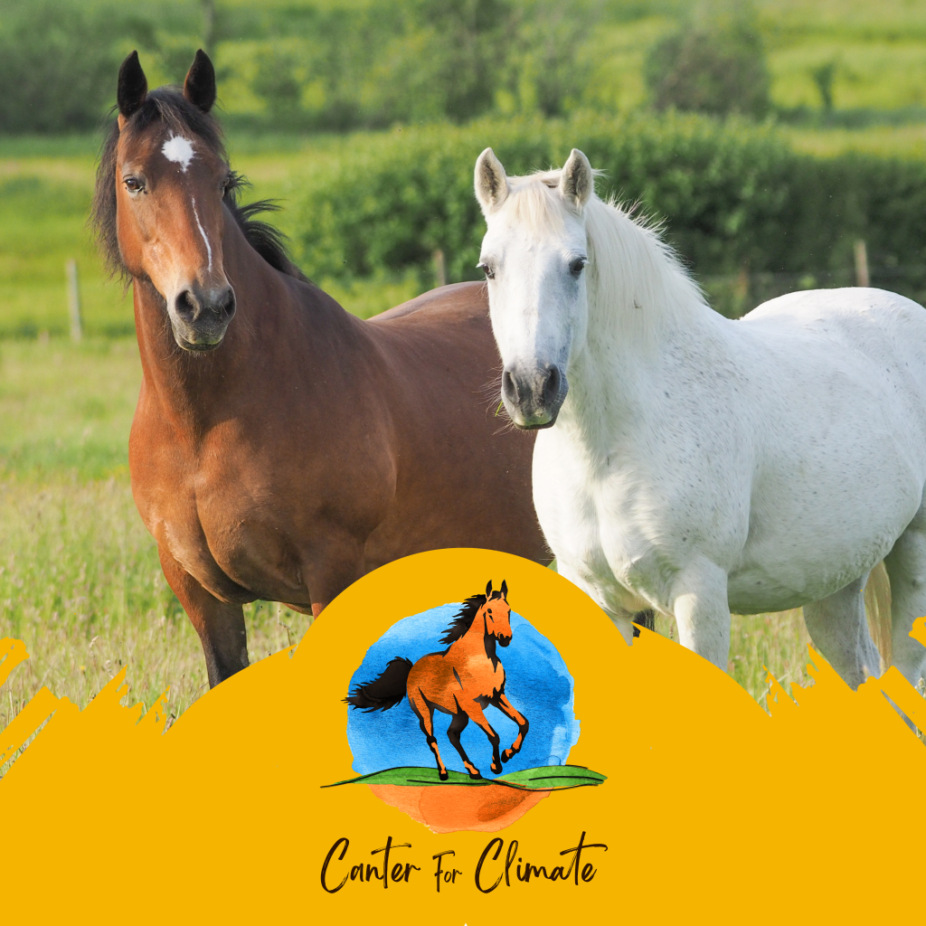 Canter for Climate podcast