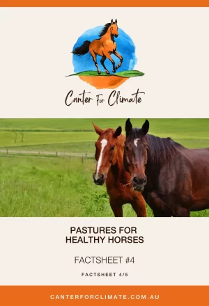 Canter for Climate - Factsheet 4 - Pastures for Healthy Horses - Title page on white.jpg
