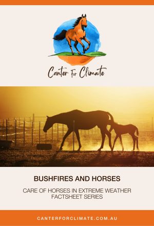 FS Cover Bushfires and Horses