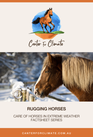 Factsheet Rugging Horses
